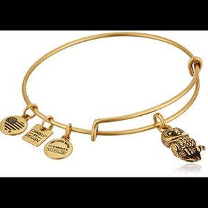 🦉 Alex and Ani Gold Owl Bracelet 🦉